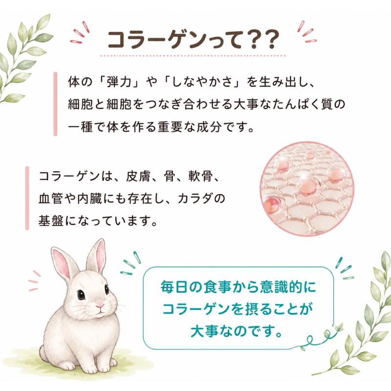 うさぎの関節に コラーゲンV.C＆グルコサミンMSM 商品 ペット用 栄養