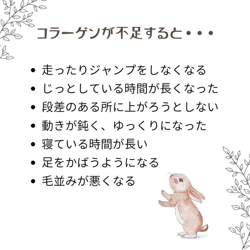 うさぎの関節に コラーゲンV.C＆グルコサミンMSM 商品 ペット用 栄養補助食品　60粒  ウサギ用 |  | 03