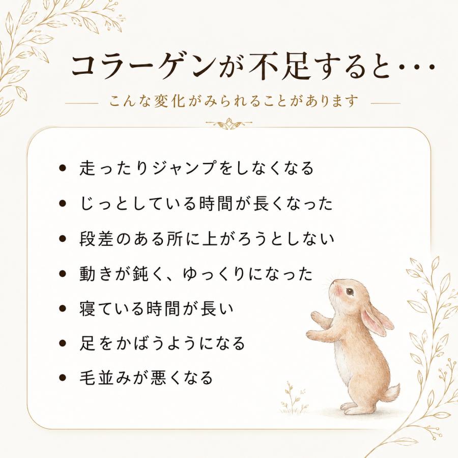 うさぎの関節に コラーゲンV.C＆グルコサミンMSM 商品 ペット用 栄養