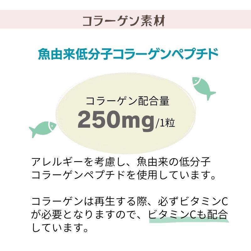 うさぎの関節に コラーゲンV.C＆グルコサミンMSM 商品 ペット用 栄養補助食品　60粒  ウサギ用 |  | 04