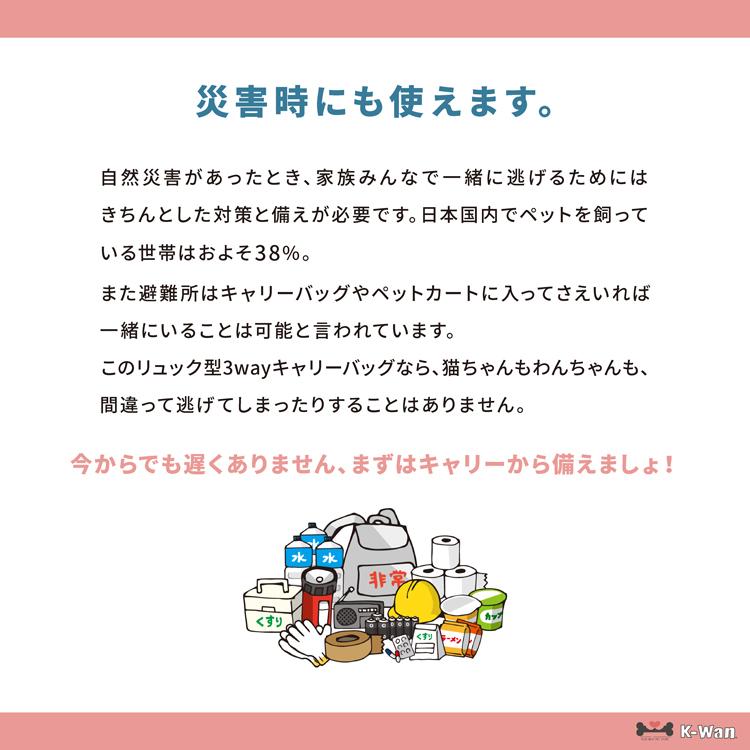 Daisuki 犬猫用 デカリュック型 LLサイズ リュック型キャリー