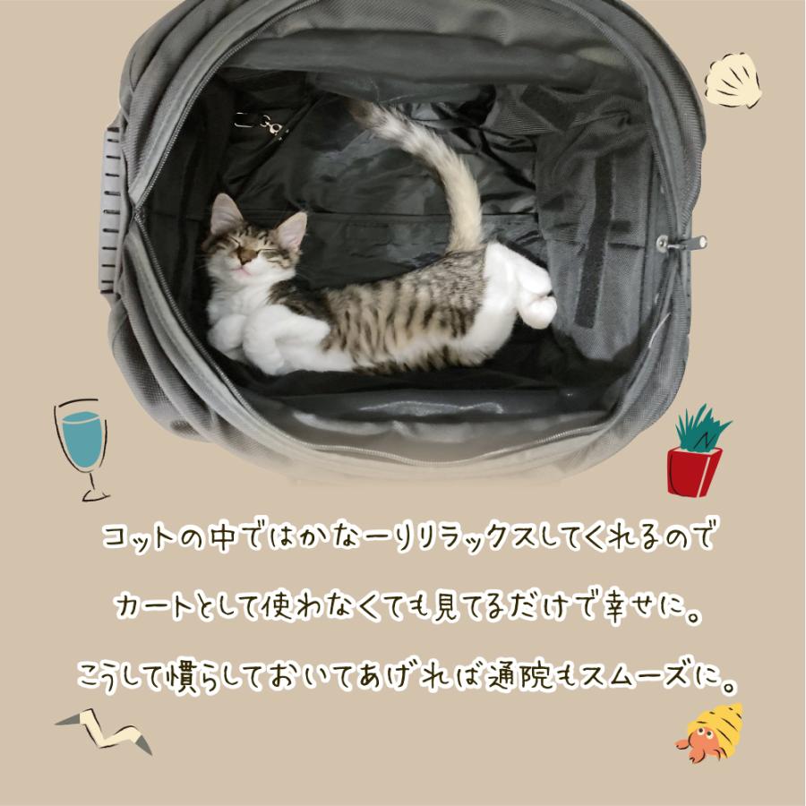 新商品】エルモ2 for cat&dog ELMO2 ピッコロカーネ ELMO :elmo2-2022