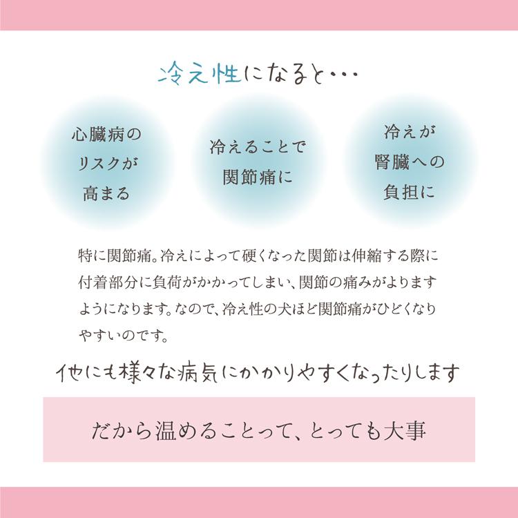 【正規品】セラミックドライヤー FEIL plus フェールプラス with pet |  | 12