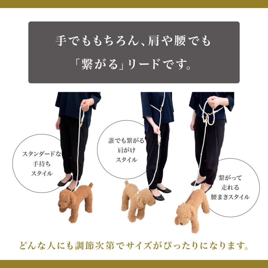 Sサイズ本体シルバー金具】ハンズフリーリード ゴールデンママ リード