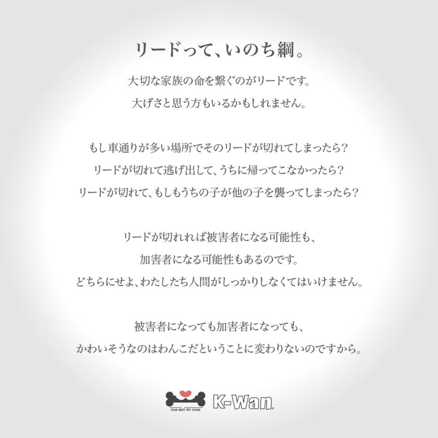 Sサイズ本体】ハンズフリーリード ゴールド金具 ゴールデンママ 限定
