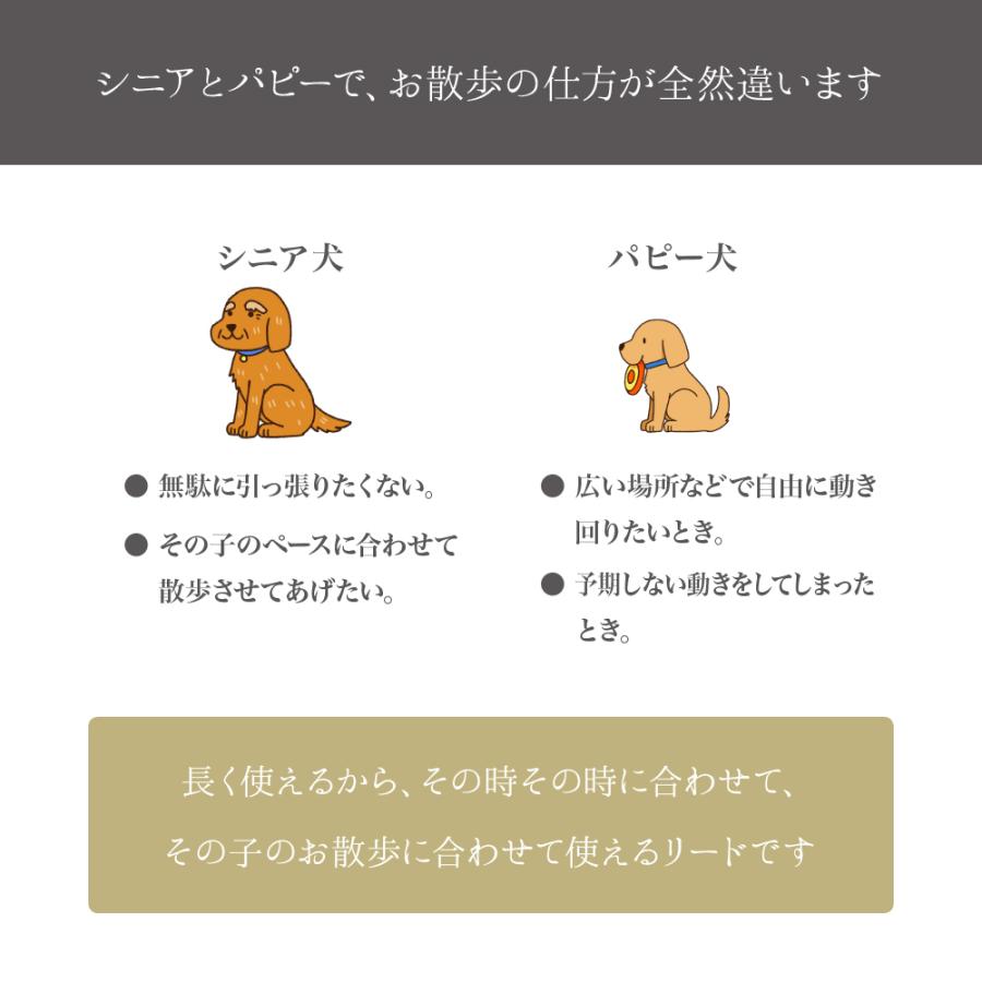 Sサイズ本体】ハンズフリーリード ゴールド金具 ゴールデンママ 限定