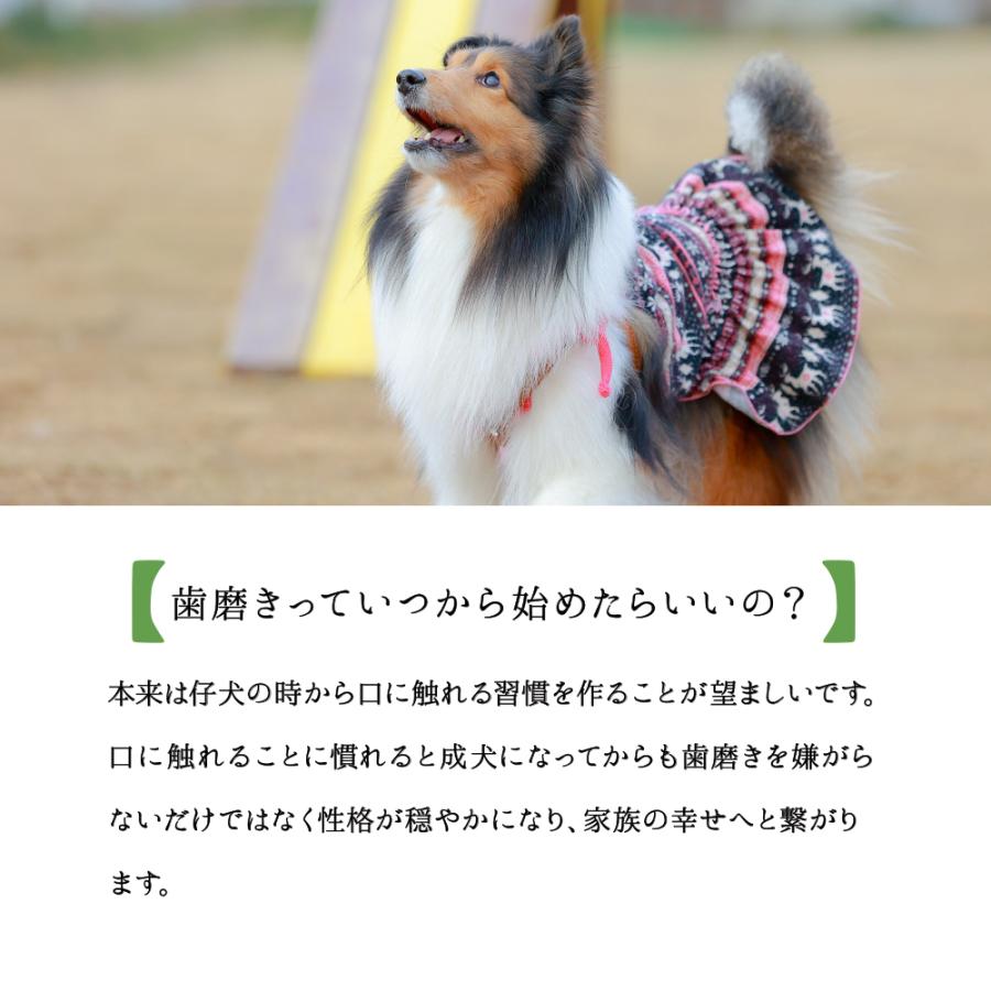 Migakende ミガケンデ 犬用歯ブラシ ウマ ヒツジ Migakende K Wan 通販 Yahoo ショッピング