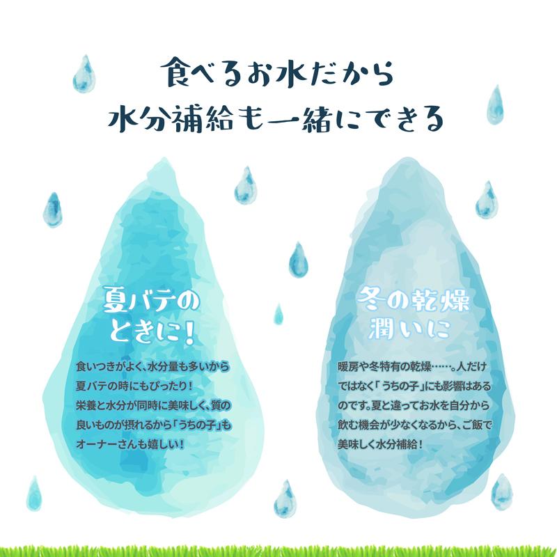 人気激安 15個セット売り 生きら大人おいしいごはん まとめ買い パシュートオブラブ 無添加 元大人プードルちゃん Aynaelda Com