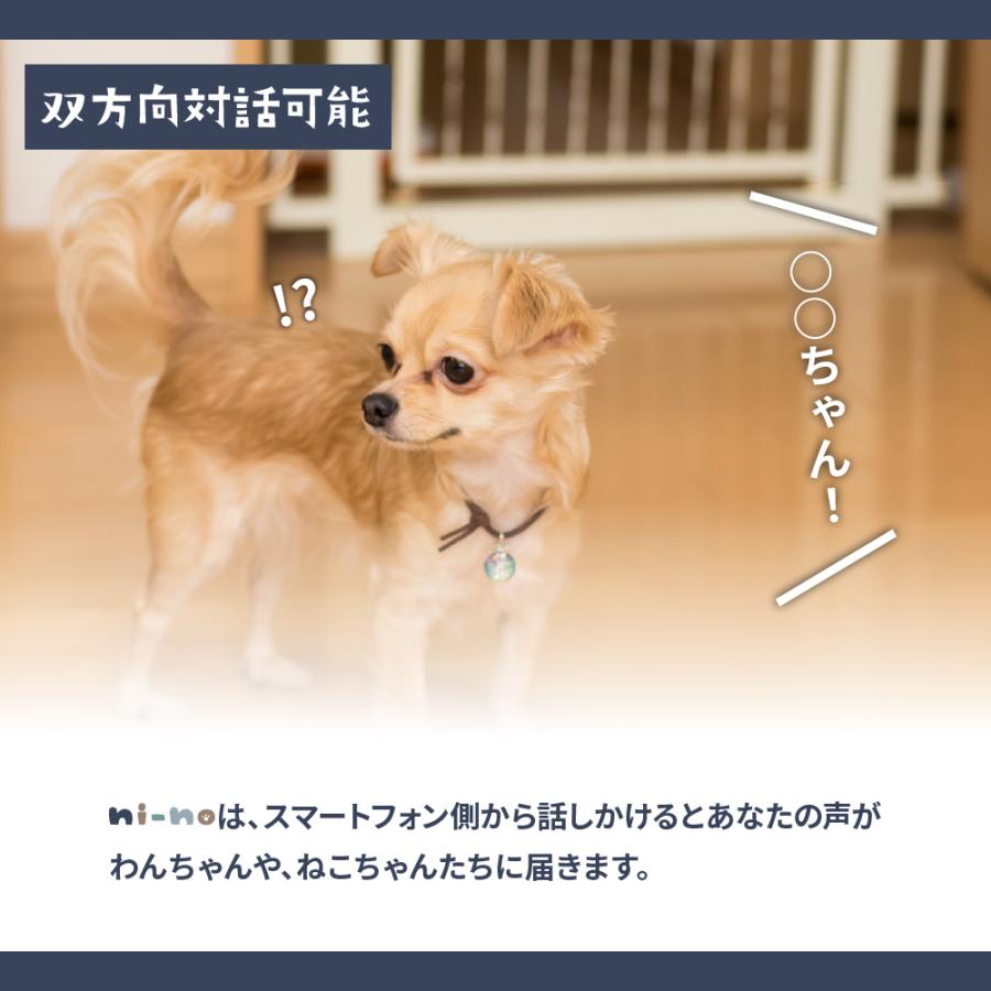 【新商品】お留守番カメラ ni-no ニーノ 日本メーカー製 温度計つき 