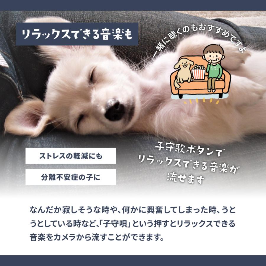 【新商品】お留守番カメラ ni-no ニーノ 日本メーカー製 温度計つき 