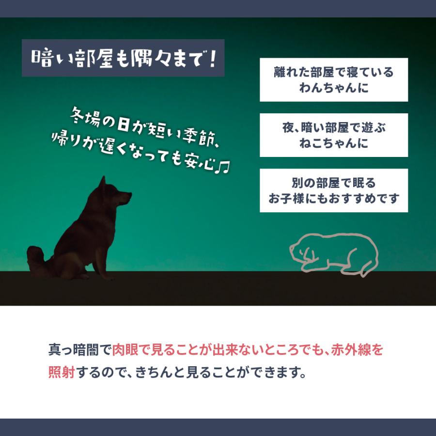 【新商品】お留守番カメラ ni-no ニーノ 日本メーカー製 温度計つき 