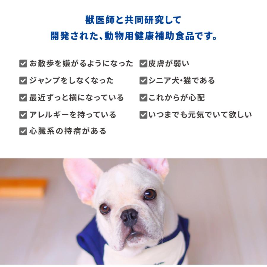 パンフェノン（顆粒タイプ） 心臓の健康維持 :: パンフェノン 顆粒タイプ