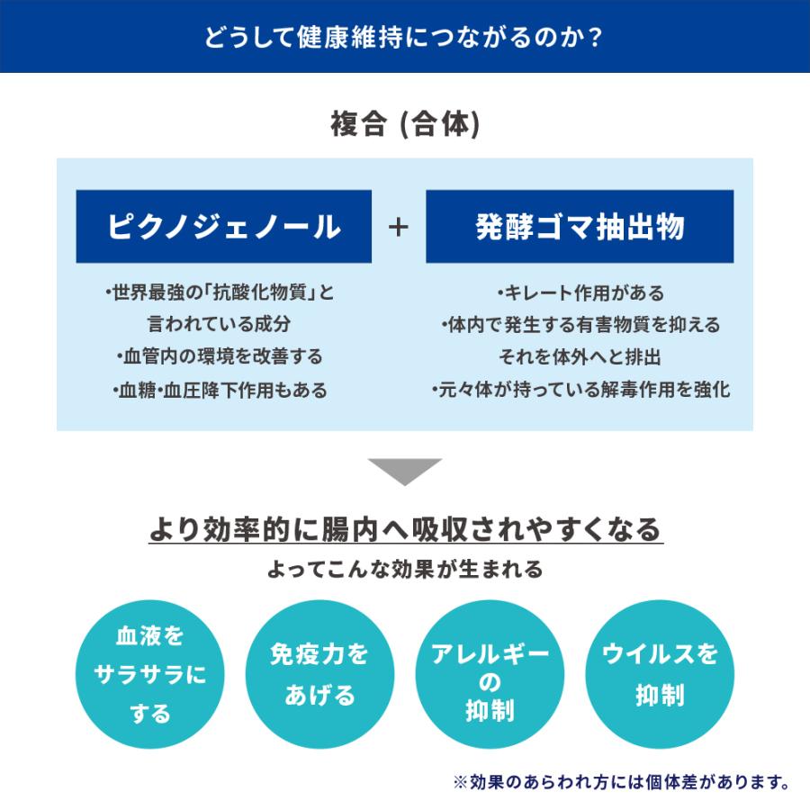 3個セット パンフェノン 1粒入り 3 動物用健康補助食品 サプリメント 小粒 心臓病 関節 犬 猫