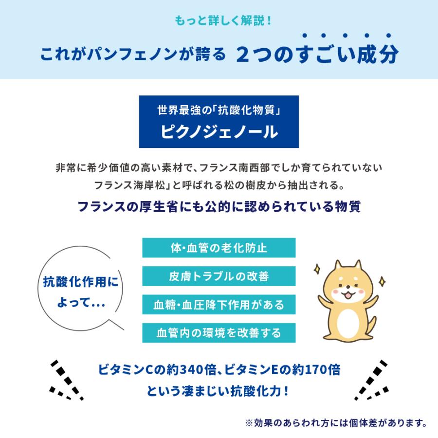 3個セット パンフェノン 1粒入り 3 動物用健康補助食品 サプリメント 小粒 心臓病 関節 犬 猫