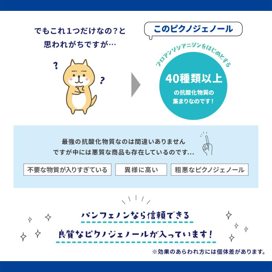 3個セット パンフェノン 1粒入り 3 動物用健康補助食品 サプリメント 小粒 心臓病 関節 犬 猫