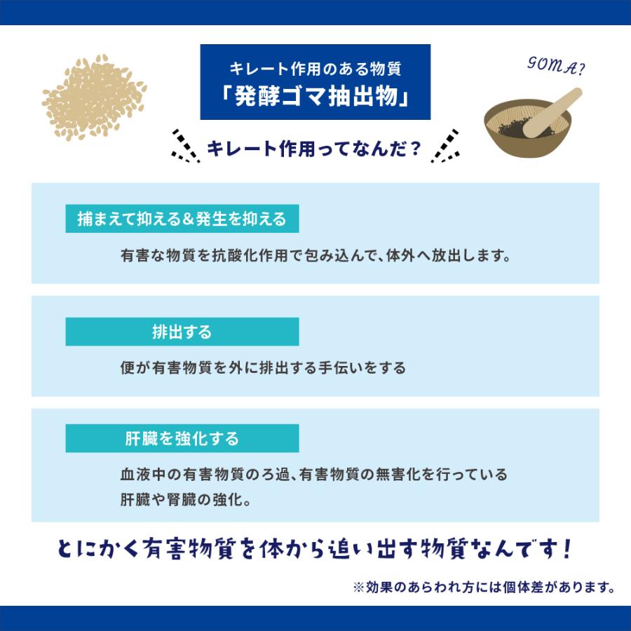 3個セット パンフェノン 1粒入り 3 動物用健康補助食品 サプリメント 小粒 心臓病 関節 犬 猫