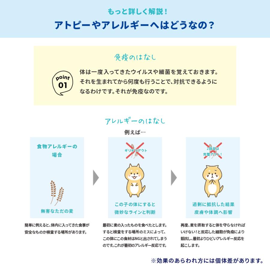 3個セット パンフェノン 1粒入り 3 動物用健康補助食品 サプリメント 小粒 心臓病 関節 犬 猫