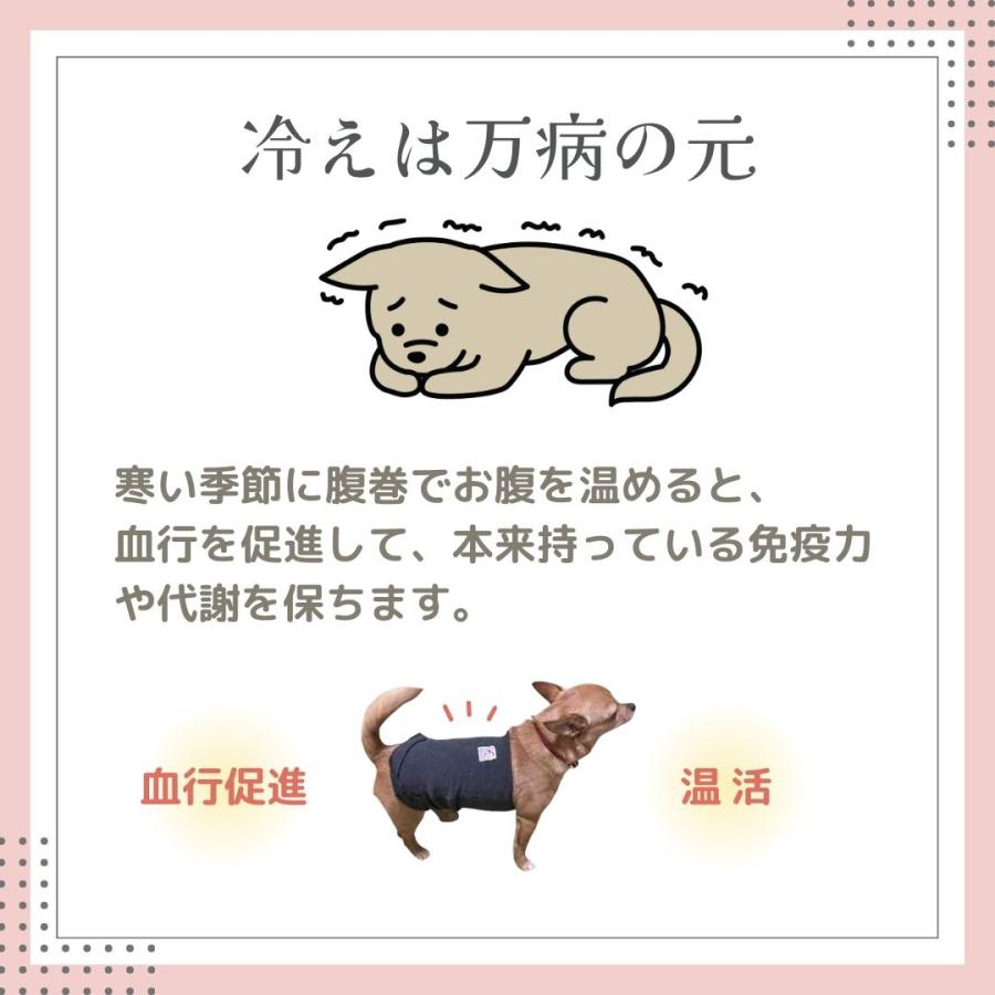 テラペット腹巻 テラヘルツ 遠赤外線 犬用はらまき M~Lサイズ : K-wan
