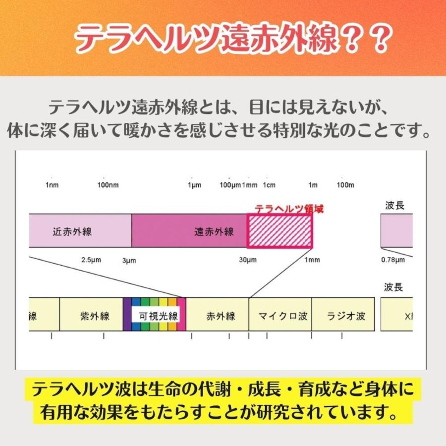 テラヘルツ加工・犬用花柄エンポス加工の合成皮革首輪M テラヘルツ加工