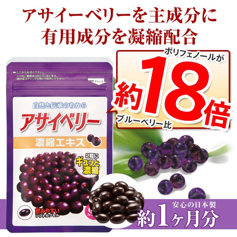 最新の激安 アサイー サプリメント アサイー濃縮カプセル 2ヶ月分 120粒 <br> アサイー サプリメント アサイー濃縮カプセル 2ヶ月分 120粒