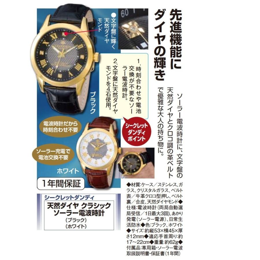 人気絶頂 天然ダイヤ クラシック ソーラー電波時計 ダンディクラブ 超歓迎 Mtkbrasil Com Br