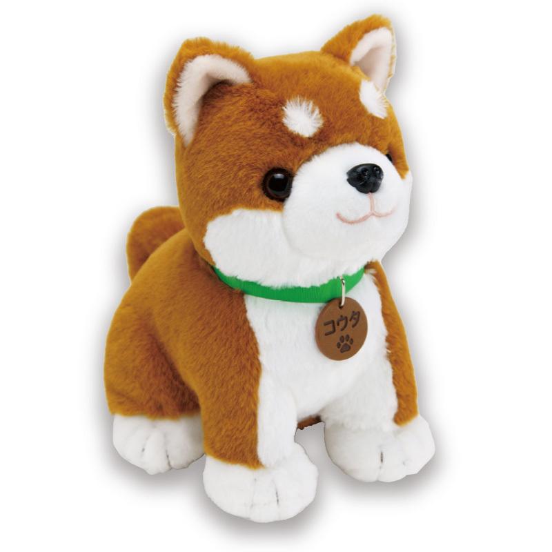 しゅた。☆ファースト社　犬　柴犬　ぬいぐるみ 柴犬 ぬいぐるみ しばいぬ コウタ 喋る 人形 柴犬グッズ 熟年