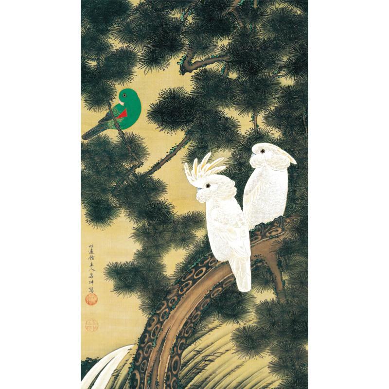 伊藤若冲 掛け軸 作品 動植綵絵 老松鸚鵡図 高級仕様 掛軸 美術品 インテリア 作品 複製画 アートの友社