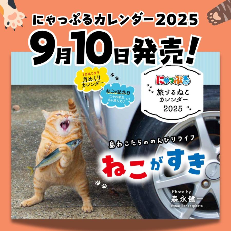 猫さん 猫さん カード検索 ｜ Z/X - Zillions of enemy X - ゼクス公式サイト