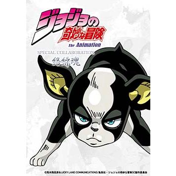 jojo⭐︎イギー（iggy）リバーシブルスカジャン⭐︎ イギーリバーシブルスカジャン | Meets Answer(ミーツアンサー)