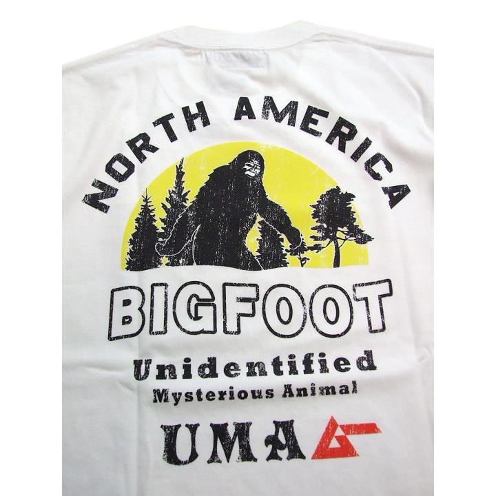 ムーページ Tommykaira M30Z - Hoshi Motion 300ZX Fairlady Z | S3 Magazine