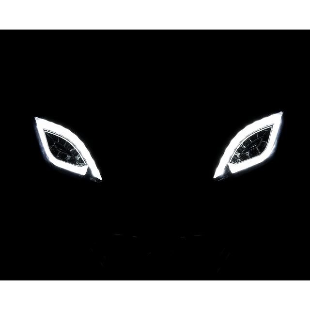 デイライト ホワイト LED フラッシャーセット ライトスモーク デイライト ホワイト LED フラッシャーセット ライトスモーク