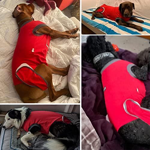 販売する店舗 犬 Tシャツ Lサイズ |Dog Recovery Suit Body Suit After Surgery Dog Onesie Cone Alte