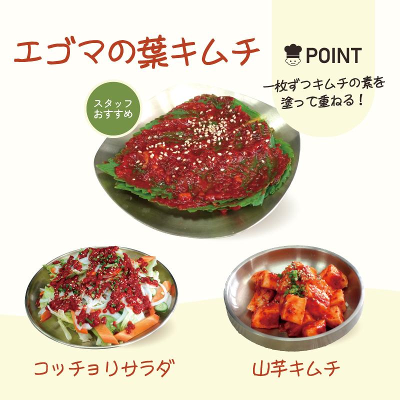 キムチの素（浅漬け用）500g 【bibim】キムチヤンニョム コッチョリ