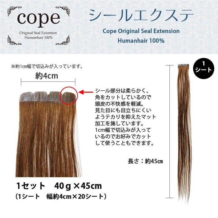 シールエクステ 人毛100 40ｇ 1シート2ｇ 45ｃｍ K 33a レッドブラウン Seal0033a 美容商材卸 Natural Life 通販 Yahoo ショッピング