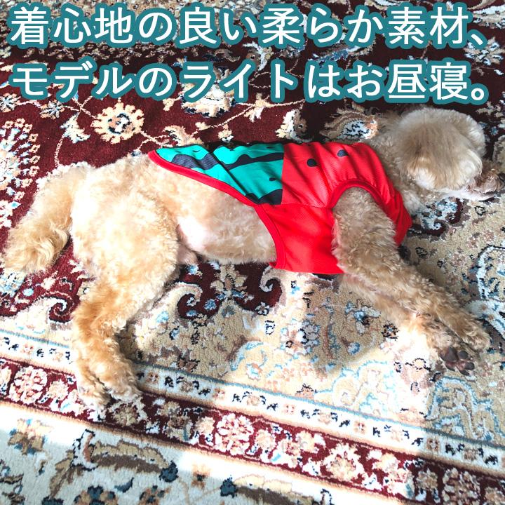 【胴回り38センチ】うちの子可愛いタンクトップ犬服 はっぴーDOG 犬 服 夏 犬服 犬の服 おしゃれトイプードル チワワ