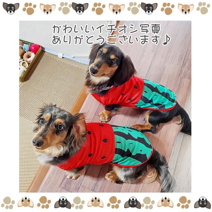 犬 服 犬服 犬の服 おしゃれトイプードル チワワ タンクトップ フルーツ柄 スイカ柄 ソフトメッシュ ドッグウェア Md031 はっぴーdog本店 通販 Yahoo ショッピング