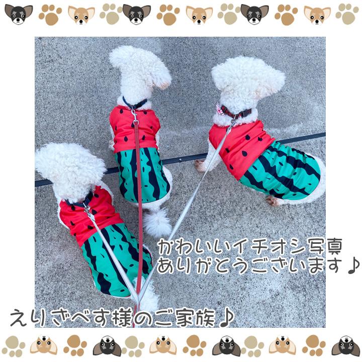 はっぴーDOG 犬 服 夏 犬服 犬の服 おしゃれトイプードル チワワ