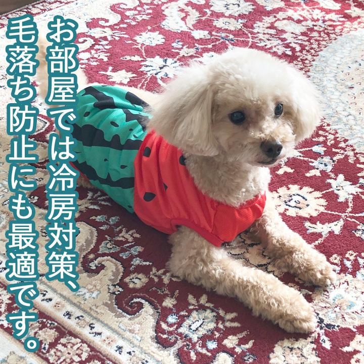 犬服　ハンドメイド　選べる3色♪ カラフル北欧柄のタンクトップ 楽天市場】犬服 春 夏 タンクトップ 可愛い おしゃれ ボーダー