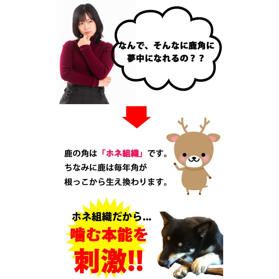 5本セット 犬 おもちゃ 鹿の角 半割 北海道 鹿角 犬のおもちゃ 犬 犬用 噛む ドッグガム デンタルケア デンタル効果 口臭対策 無添加 壊れない 送料無料 :md0916h5:かわいい犬服屋さん はっぴーDOG - 通販 - Yahoo!ショッピング 5本セット 犬 おもちゃ 鹿の角 半割 北海道 鹿角 犬のおもちゃ 犬 犬用 噛む ドッグガム デンタルケア デンタル効果 口臭対策 無添加 壊れない 送料無料 :md0916h5:かわいい犬服屋さん はっぴーDOG - 通販 - Yahoo!ショッピング