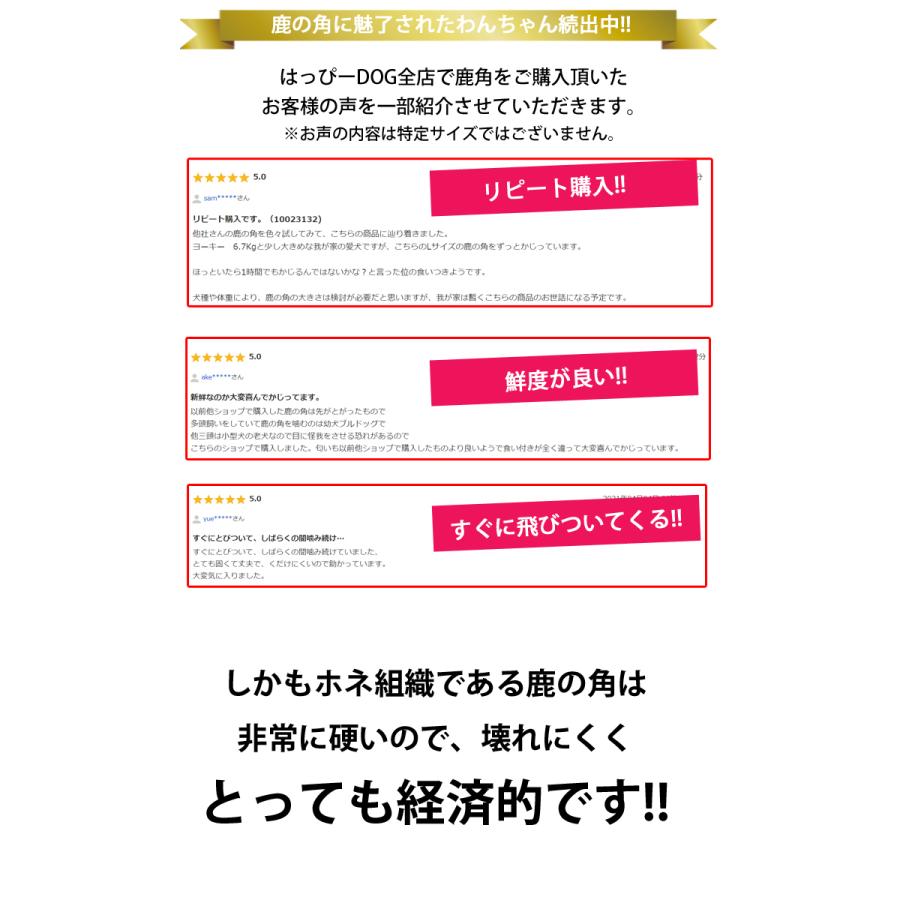 1000円ポッキリ 犬 おもちゃ 鹿の角 半割 北海道 鹿角 犬のおもちゃ 犬 犬用 噛む ドッグガム デンタルケア デンタル効果 口臭対策 壊れない 送料無料｜k-city｜13