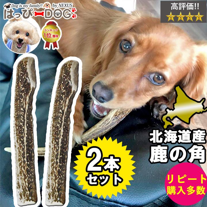 2本セット 犬 おもちゃ 鹿の角 半割ロング 北海道 鹿角 犬のおもちゃ 犬 犬用 噛む ドッグガム デンタルケア デンタル効果 口臭対策 無添加 送料無料 :md0916hl2:かわいい犬服屋さん はっぴーDOG - 通販 - Yahoo!ショッピング 2本セット 犬 おもちゃ 鹿の角 半割ロング 北海道 鹿角 犬のおもちゃ 犬 犬用 噛む ドッグガム デンタルケア デンタル効果 口臭対策 無添加 送料無料 :md0916hl2:かわいい犬服屋さん はっぴーDOG - 通販 - Yahoo!ショッピング