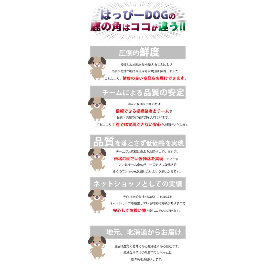 Sale 84 Off 2本セット 犬 おもちゃ 鹿の角 半割ロング 北海道 鹿角 犬のおもちゃ 犬用 噛む ドッグガム デンタルケア デンタル効果 口臭対策 無添加 送料無料 Cisama Sc Gov Br