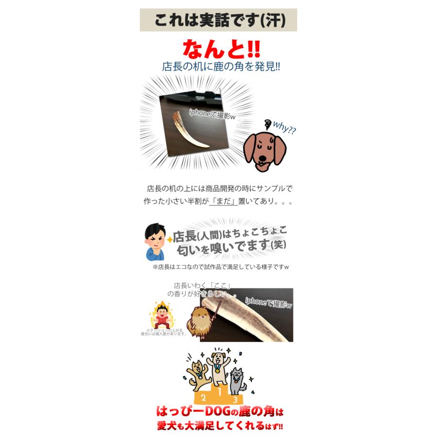 はっぴーDOG 2本セット 犬 おもちゃ 鹿の角 半割ロング 北海道 鹿角 犬