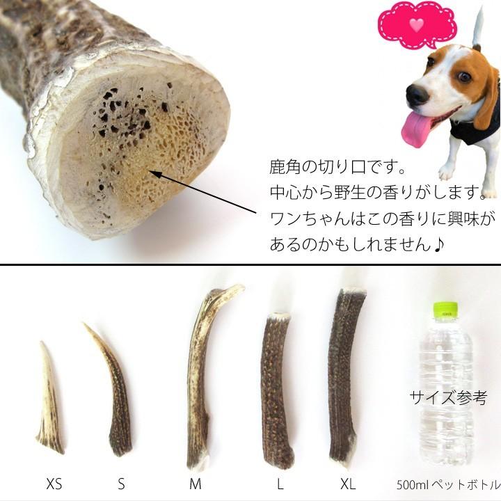 はっぴーDOG 2本セット 犬 おもちゃ 鹿の角 半割ロング 北海道 鹿角 犬