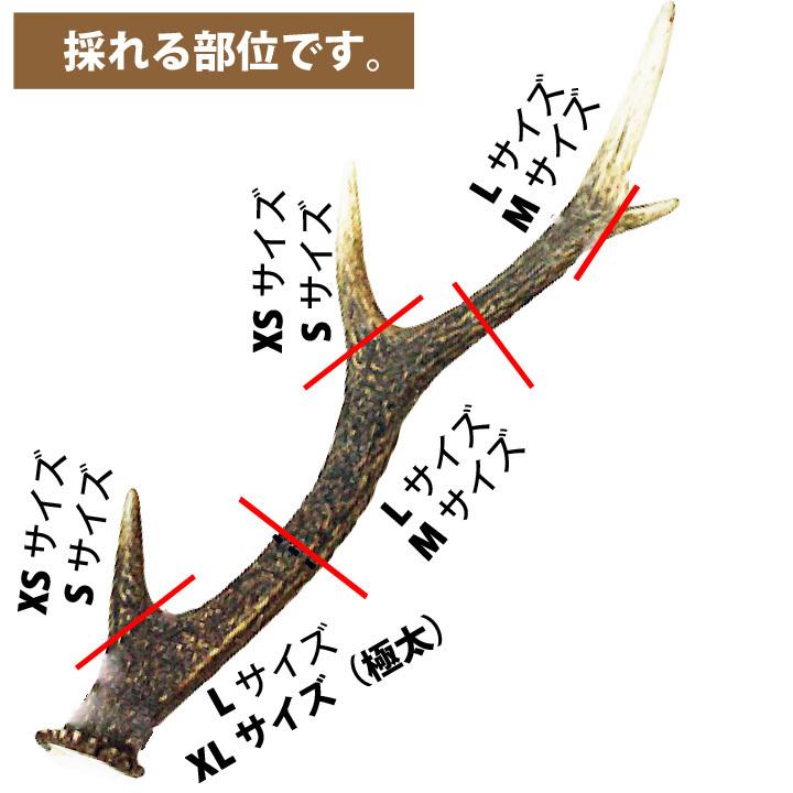 2本セット 鹿犬 おもちゃ 鹿の角 Lサイズ 北海道 鹿角 犬のおもちゃ 犬 犬用 噛む ドッグガム デンタルケア デンタル効果 口臭対策 無添加 壊れない 送料無料 :md0916l2:かわいい犬服屋さん はっぴーDOG - 通販 - Yahoo!ショッピング 2本セット 鹿犬 おもちゃ 鹿の角 Lサイズ 北海道 鹿角 犬のおもちゃ 犬 犬用 噛む ドッグガム デンタルケア デンタル効果 口臭対策 無添加 壊れない 送料無料 :md0916l2:かわいい犬服屋さん はっぴーDOG - 通販 - Yahoo!ショッピング