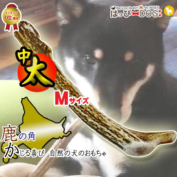 犬 おもちゃ 鹿の角 Mサイズ 北海道 鹿角 犬のおもちゃ 犬 犬用 噛む ドッグガム デンタルケア デンタル効果 口臭対策 無添加 壊れない 送料無料｜k-city