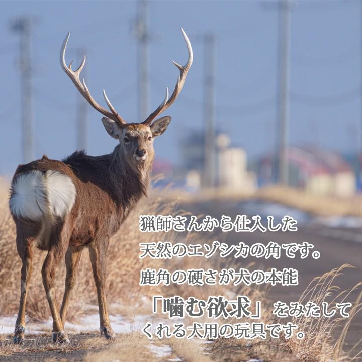 はっぴーDOG 鹿の角 XSサイズ 北海道 鹿角 犬のおもちゃ 犬 犬用 噛む  