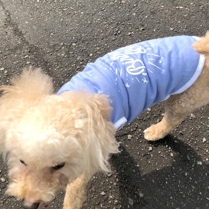 犬 服 秋冬 秋 冬 夏 犬服 犬の服 おしゃれ トイプードル チワワ タンクトップ お誕生日 男の子 女の子 ドッグウェア Md かわいい犬服屋さん はっぴーdog 通販 Yahoo ショッピング