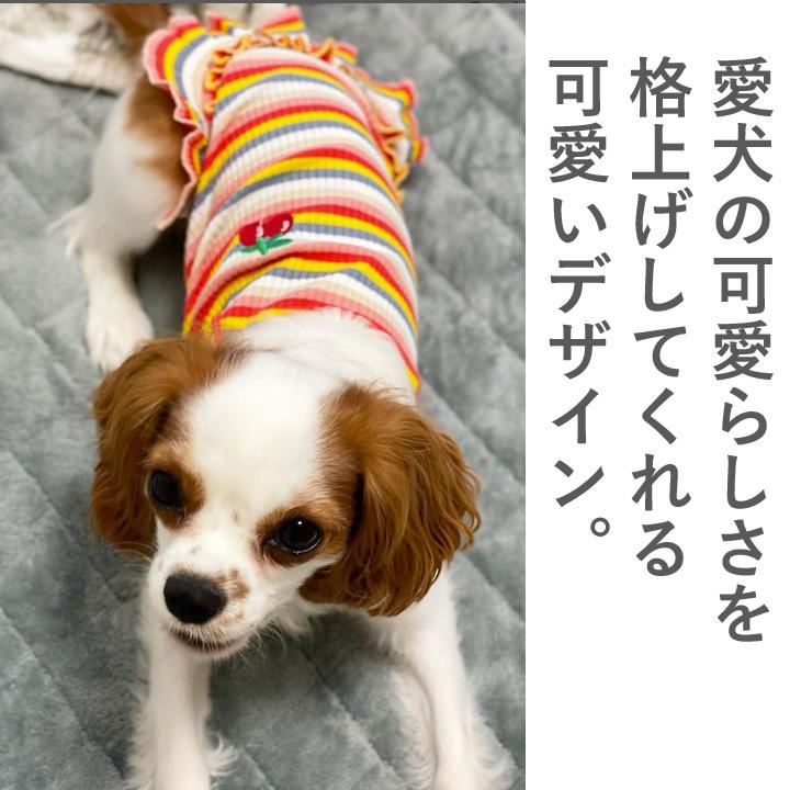 はっぴーDOG 犬 服 夏 犬服 犬の服 おしゃれトイプードル チワワ