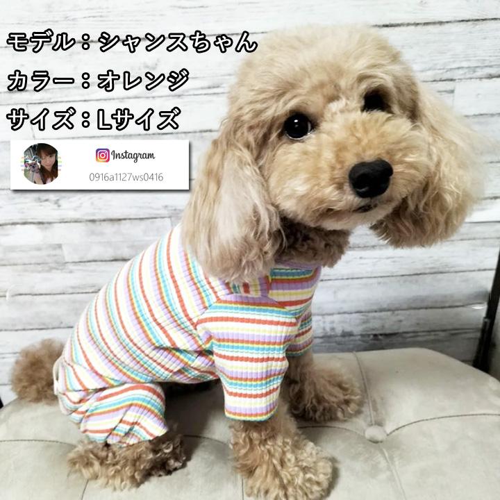 はっぴーDOG 犬服 犬 服 秋冬 秋 冬 犬の服 おしゃれ トイプードル